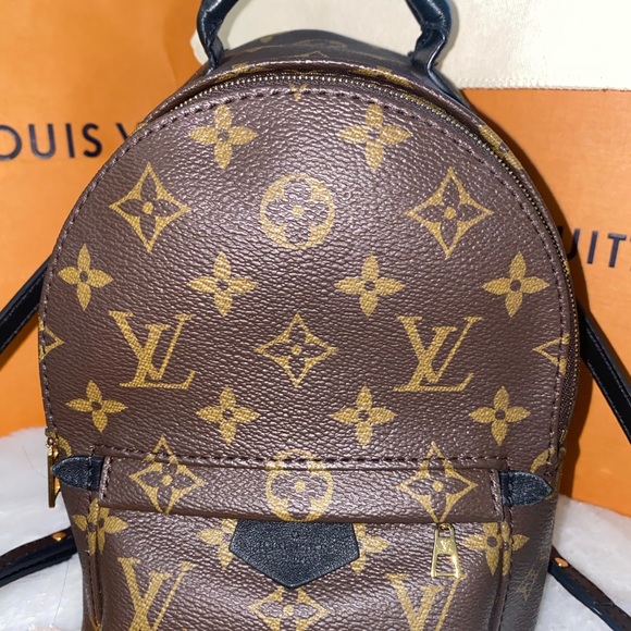 Louis Vuitton PALM SPRINGS LEATHER BACKPACK - Picture 3 of 10